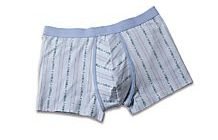 Panty Andy
